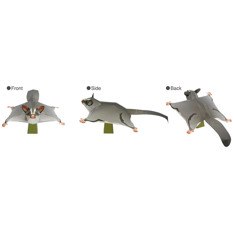Sugar Glider Flying Mouse Hand - Art Craft Cardboard recension och pris