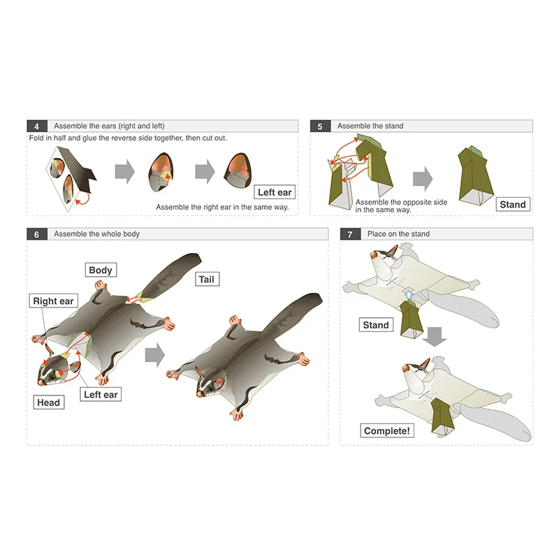 Sugar Glider Flying Mouse Hand - Art Craft Cardboard recension och pris